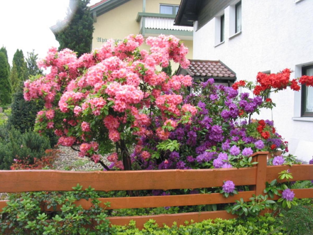 Appartements Gillmeier Herta Bad Griesbach  Dış mekan fotoğraf